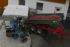 Apfelverarbeitung
